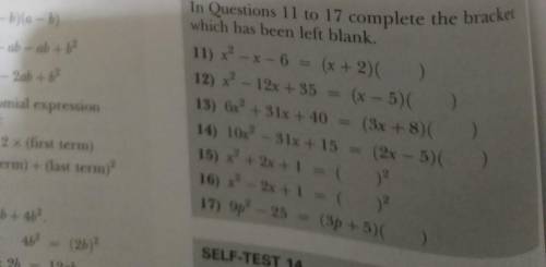 Need help with these questions: