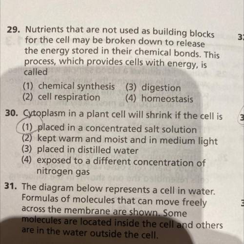Please someone answer #29