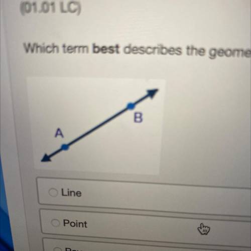 Which term best describes the geometric figure?
B
A
Line
Point
Ray
Segment