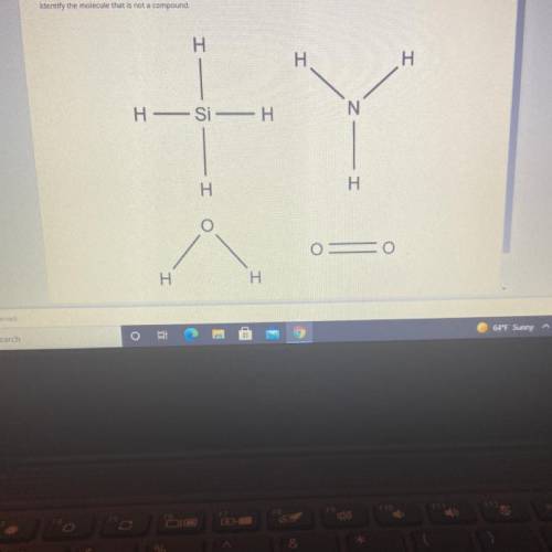 PLEASE HELP
identify the molecule that is not a compound