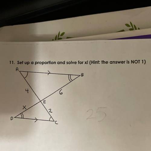 PLS I NEED HELP THIS IS PRETTY EASY ITS 8th GRADER MATH BUT I NEED HELP BAD ITS WORTH ALOT OF POINT