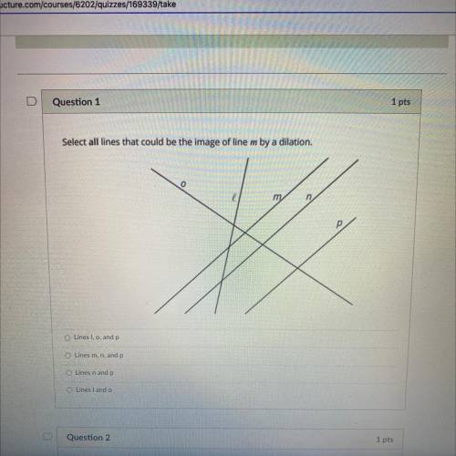 Select all lines that could be the image of line m by a dilation.

Lines I, o, and p
Lines m, n, a