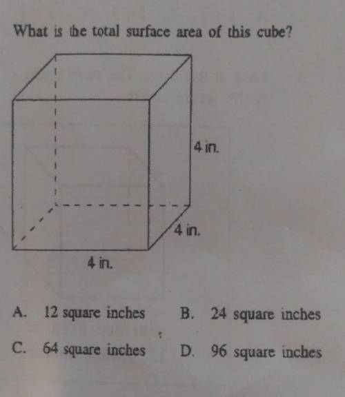 Help me find the surface area