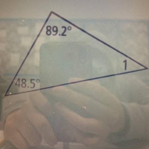 Find the missing angle measure.