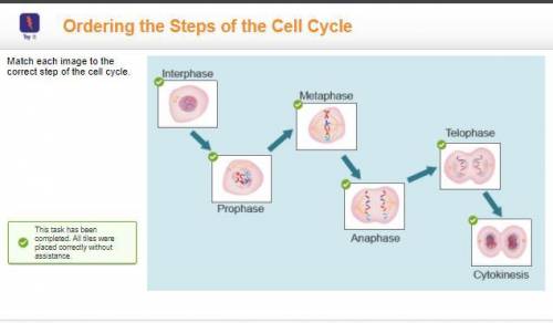 Edge 2021 
Cell cycle instruction answers for the last question