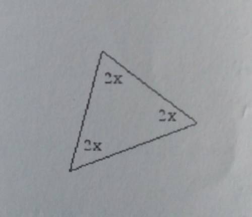 Find the size of angle