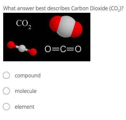 What answer best describes Carbon Dioxide (CO2)?
compound
molecule
element