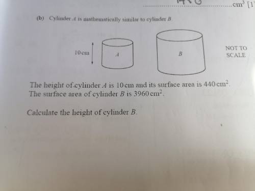 What is the height of cylinder b