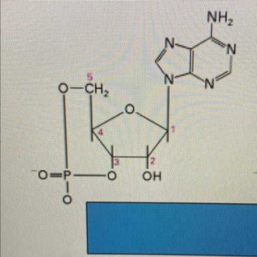 Type of molecule ,been having a hard time figuring it out