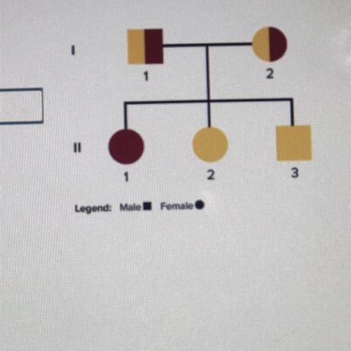 What do the roman numerals in the pedigree diagram represent?