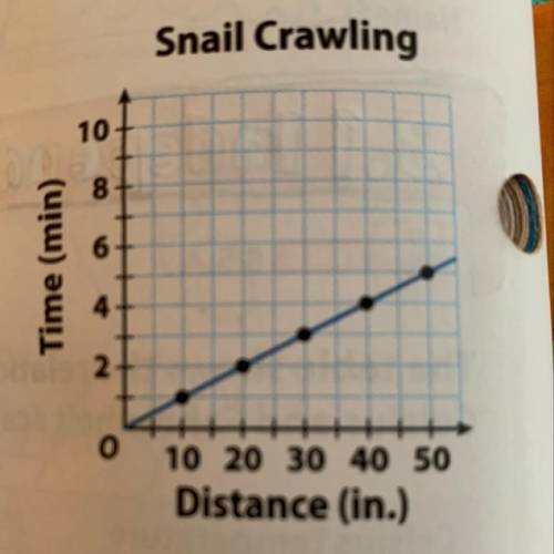 C: how long does it take the snail to crawl 85 inches

NEED ANSWER ASAPP PLSSS
INCLUDES PICTURE OF