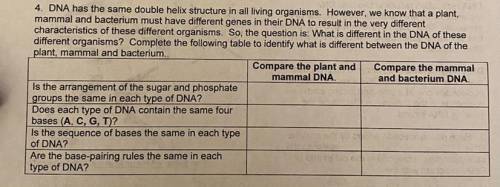 Help with biology please!