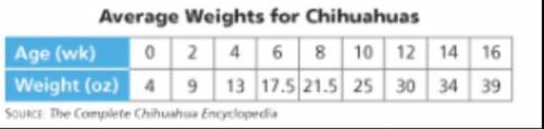 What average weight does your linear model predict for a Chihuahua that is 72 weeks old? Explain wh