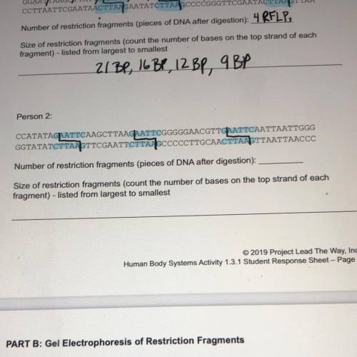 Can someone solve this for me? This is about restriction enzymes