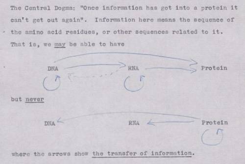 What have we learned about rna in the 60 years