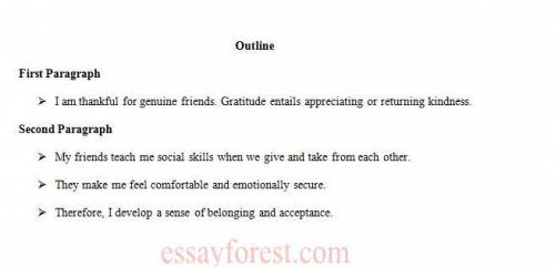 Write a two paragraph essay explaining what you are thankful for.

The first paragraph should focus