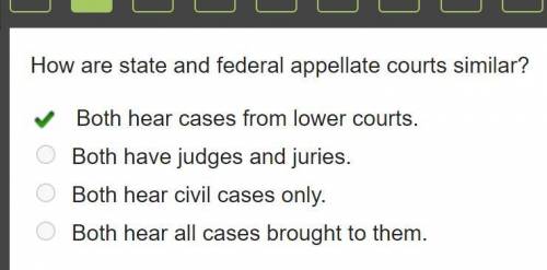 How are state and federal appellate courts similar?