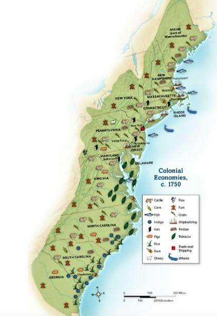 In what ways are the raw materials of the New England Colonies and the Southern Colonies similar?