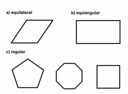 Which completely describes the polygon?