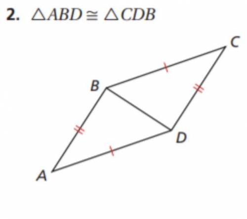 use SSS to explain why the triangles in each pair are congruent. pls don’t be hat person and steal