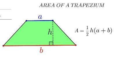 What is the area of the trapizeum