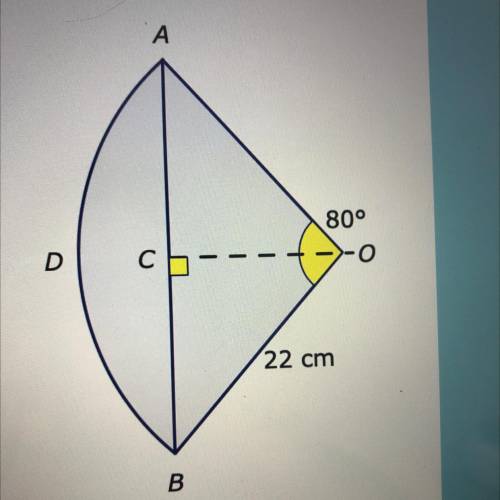OABD is a sector of a circle.

Angle AOB = 80°.
The radius OB = 22 cm.
Work out:
the length OC
The