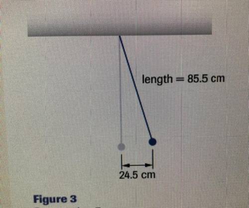 A simple pendulum, 85.5 cm long, is held at rest so that its amplitude will be

24.5 cm as illustr