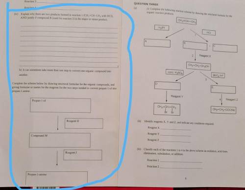please help me with the circled questions i really need answer for these questions please help me o