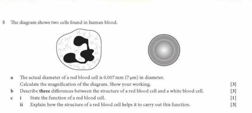 BRAINLIEST

the diagram shows two cells found in human blood. a. the actual diagram of red blood c