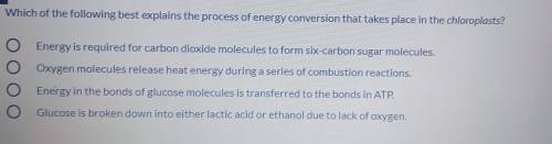 Which of the following best explains the process of energy conversion that takes place in the chlor