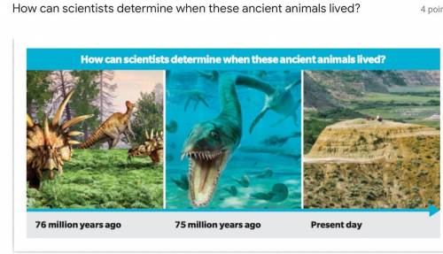 How can scientists determine when these ancient animals lived?