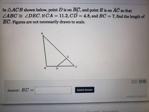 I'm really confused and need help.