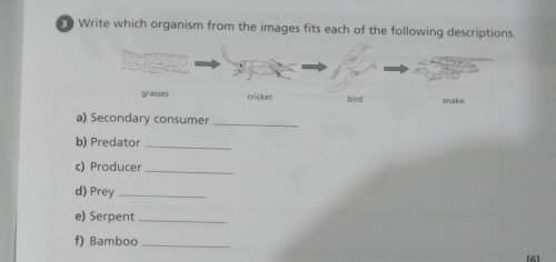 Write which organism from the images fits each of the following descriptions.