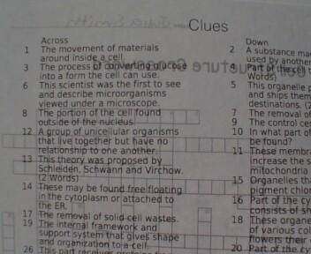 CELL STRUCTURE CROSSWORD 
GRADE 7 BIOLOGY