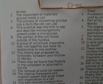 CELL STRUCTURE CROSSWORD
GRADE 7 BIOLOGY