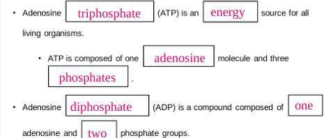 What is the structural difference between ATP and ADP? Compare/contrast structure of ATP & ADP.