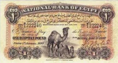 Can someone please show me a picture of how modern Egypt money looks like

if u do I will mark you