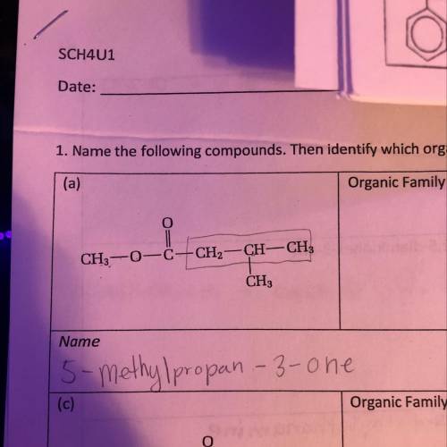 What is the correct name for this compound. and the organic family?