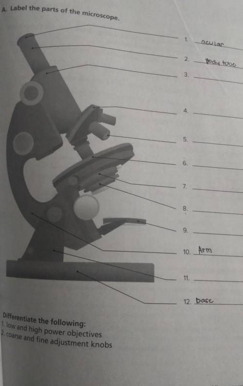 Label the parts of the microscope