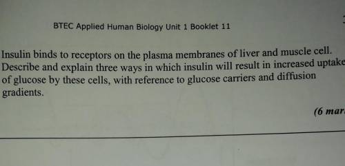 insulin binds to receptors on the plasma membrane of liver and muscle cell. describe and explain th