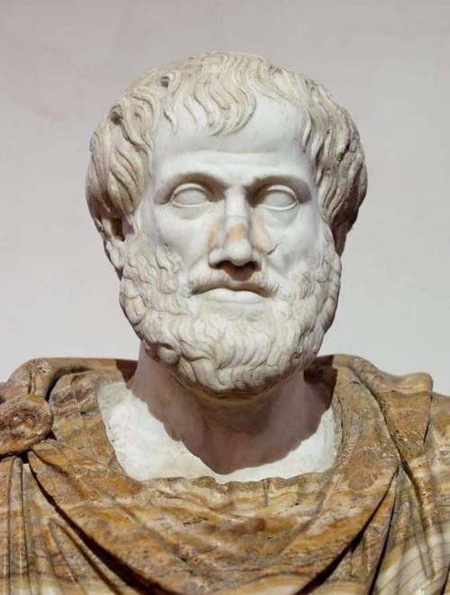 Give me some facts about Aristotle please