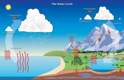 Describe the main processes of water cycle