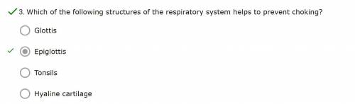 Which of the following structures of the respiratory system helps to prevent choking?