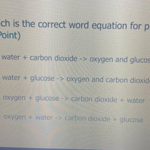 Which is the correct word equation for photosynthesis? *