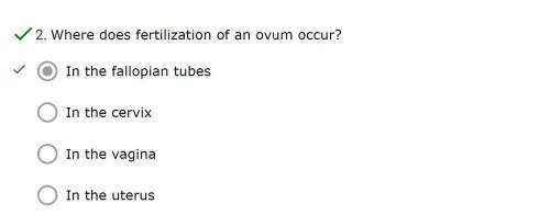 Where does fertilization of an ovum occur?