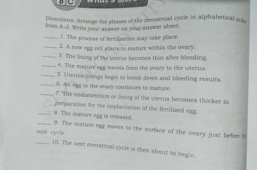 3. Why LY INIT A BC What's More Directions: Arrange the phases of the menstrual cycle in alphabetic