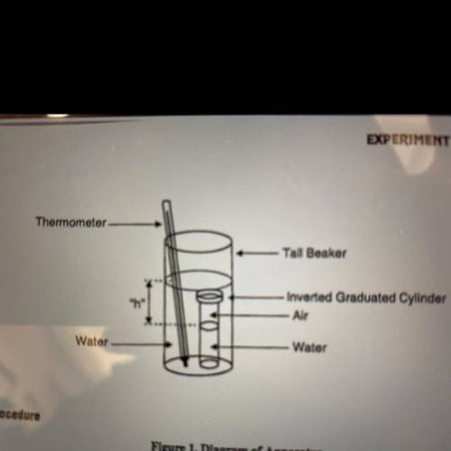 A graduated cylinder containing some air is immersed in water as shown in Figure 1 in the lab direc