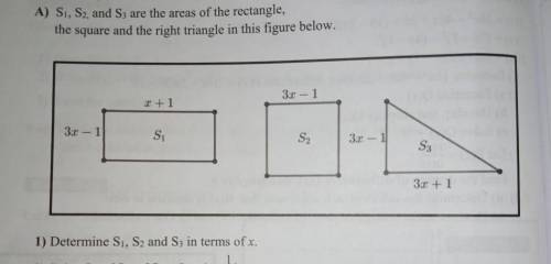 I have a rectangle, the area called S(1), i need to determine the S(1) in terms of x.?