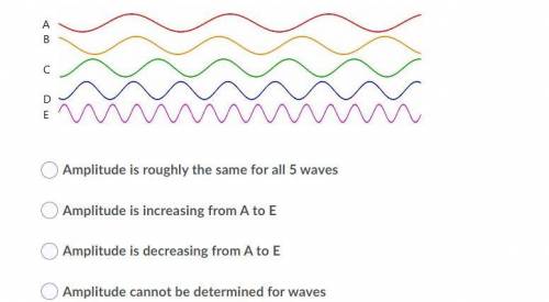 Compare the amplitude of these waves