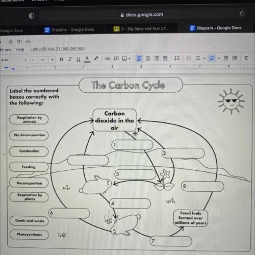 The carbon cycle diagram label
